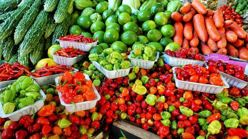 primeur-ROURE-min_farmers-market-1329008